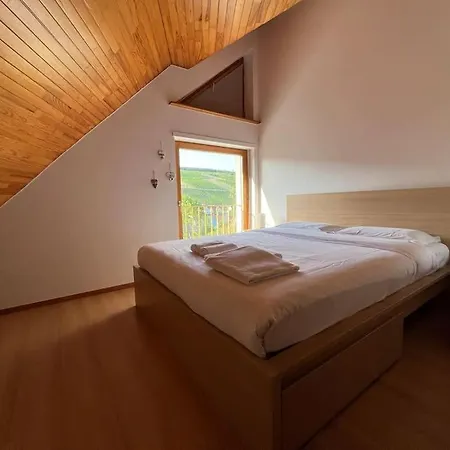 Vila Magnifique Proche Colmar Barr
